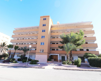 Apartamento / piso - Alquiler a largo plazo - Guardamar del Segura - Urb. Pinomar