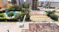 Alquiler a largo plazo - Apartamento / piso - Guardamar del Segura - SUP 7