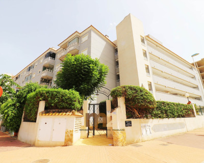 Apartamento / piso - Alquiler a largo plazo - Guardamar del Segura - SUP 7