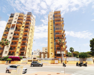 Apartamento / piso - Alquiler a largo plazo - Guardamar del Segura - SUP 7