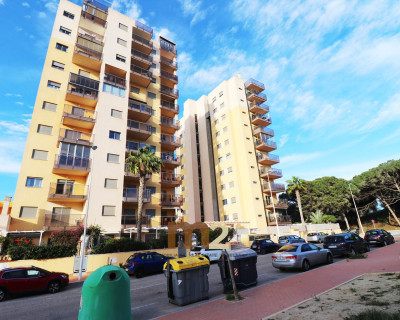 Apartamento / piso - Segunda mano - Guardamar del Segura - SUP 7