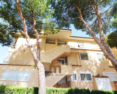 Apartment / flat - Long time Rental - Guardamar del Segura - Guardamar Playa