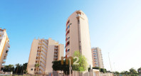 Herverkoop - Appartement / flat - Guardamar del Segura - Haven