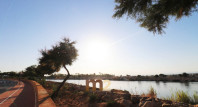 Herverkoop - Appartement / flat - Guardamar del Segura - Haven