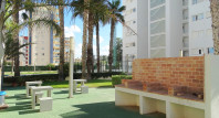 Herverkoop - Appartement / flat - Guardamar del Segura - SUP 7