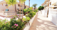 Long time Rental - Apartment / flat - Guardamar del Segura - Guardamar Playa