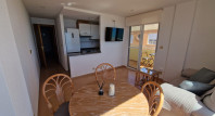 Long time Rental - Apartment / flat - Guardamar del Segura - Guardamar Playa