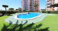 Long time Rental - Apartment / flat - Guardamar del Segura - Port