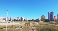 Long time Rental - Apartment / flat - Guardamar del Segura - SUP 7