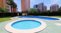 Long time Rental - Apartment / flat - Guardamar del Segura - SUP 7