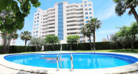 Long time Rental - Apartment / flat - Guardamar del Segura - SUP 7