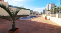 Long time Rental - Apartment / flat - Guardamar del Segura - SUP 7