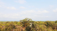 Long time Rental - Apartment / flat - Guardamar del Segura - SUP 7
