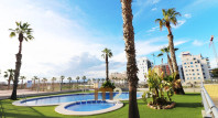 Long time Rental - Apartment / flat - Guardamar del Segura - SUP 7