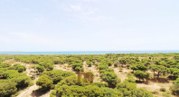 Long time Rental - Apartment / flat - Guardamar del Segura - SUP 7