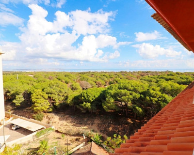 Penthouse - Sale - Guardamar del Segura - SUP 7
