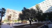 Sale - Apartment / flat - Alicante - Centro