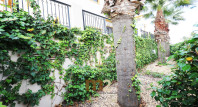 Sale - Apartment / flat - Guardamar del Segura - Guardamar Hills