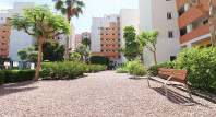 Sale - Apartment / flat - Guardamar del Segura - SUP 7