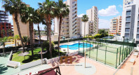 Sale - Apartment / flat - Guardamar del Segura - SUP 7