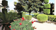 Sale - Apartment / flat - Guardamar del Segura - SUP 7