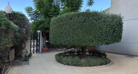Sale - Apartment / flat - Guardamar del Segura - SUP 7