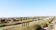 Sale - Apartment / flat - Guardamar del Segura - SUP 7