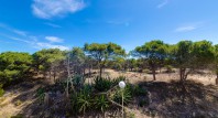 Sale - Apartment / flat - Guardamar del Segura - Urb. Pinomar