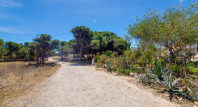 Sale - Apartment / flat - Guardamar del Segura - Urb. Pinomar