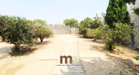 Sale - House  - Guardamar del Segura - Campomar