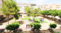 Segunda mano - Apartamento / piso - Guardamar del Segura - Mercadona