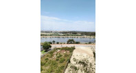 Segunda mano - Apartamento / piso - Guardamar del Segura - Puerto