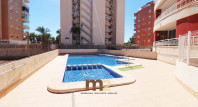 Segunda mano - Apartamento / piso - Guardamar del Segura - Puerto
