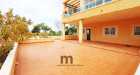Segunda mano - Apartamento / piso - Guardamar del Segura - SUP 7