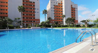 Segunda mano - Apartamento / piso - Guardamar del Segura - SUP 7