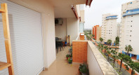 Segunda mano - Apartamento / piso - Guardamar del Segura - SUP 7