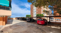 Segunda mano - Apartamento / piso - Orihuela Costa - Punta Prima