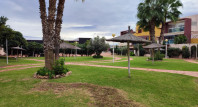 Segunda mano - Apartamento / piso - Orihuela Costa