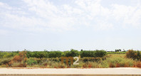 Segunda mano - Chalet - Guardamar del Segura - Urb. El Raso