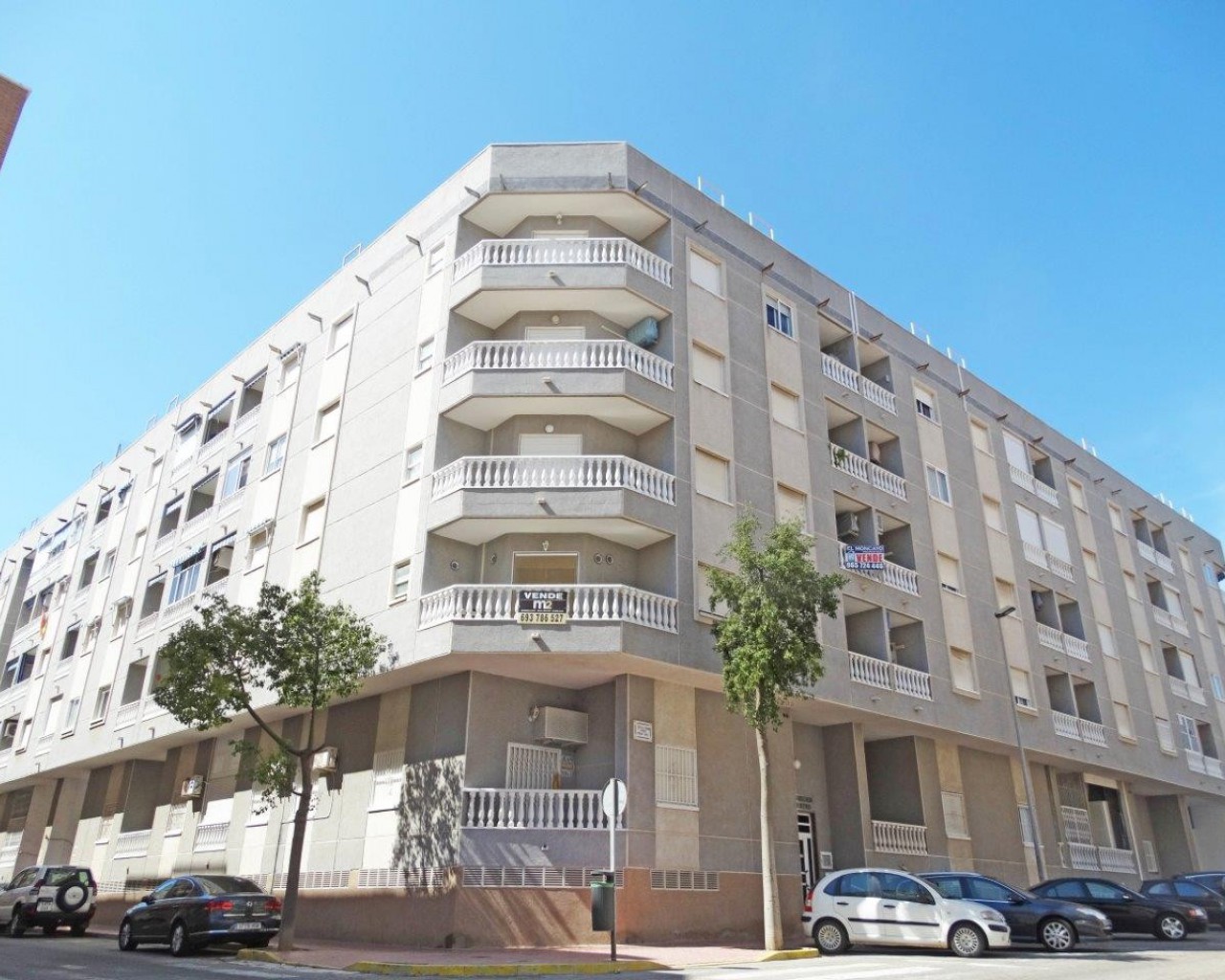 Studio - Long time Rental - Guardamar del Segura - 0463