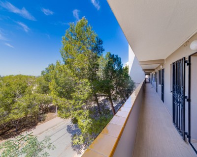 Segunda mano - Apartamento / piso - Guardamar del Segura - Urb. Pinomar