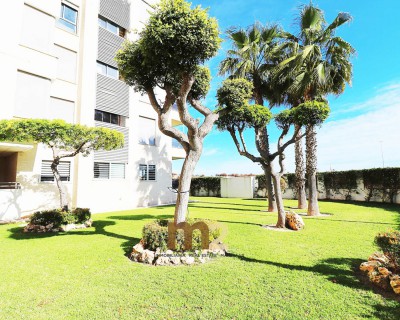Sale - Apartment / flat - Guardamar del Segura - Port