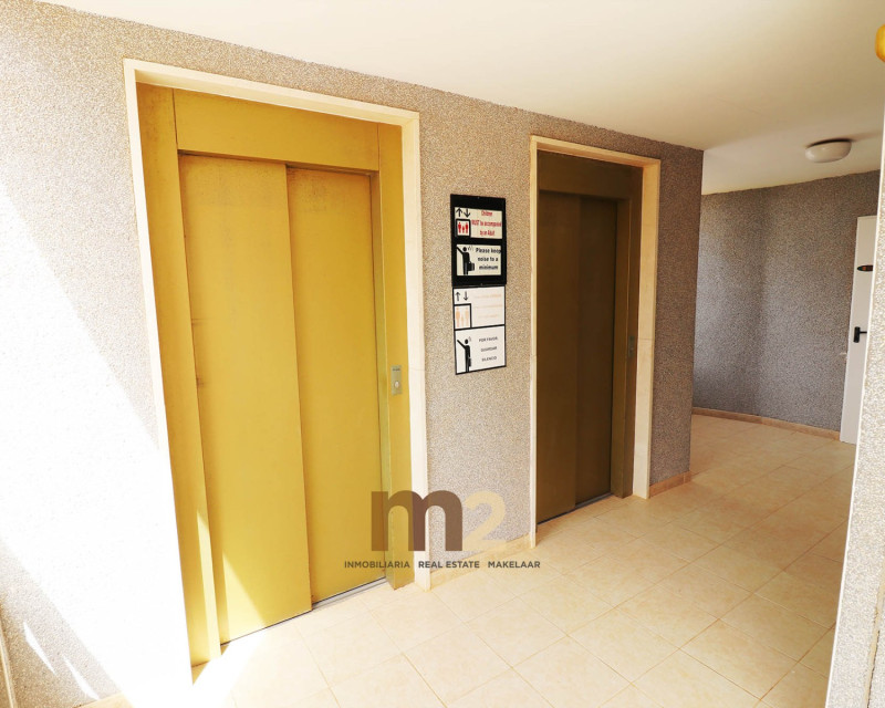 Long time Rental - Apartment / flat - Guardamar del Segura - SUP 7