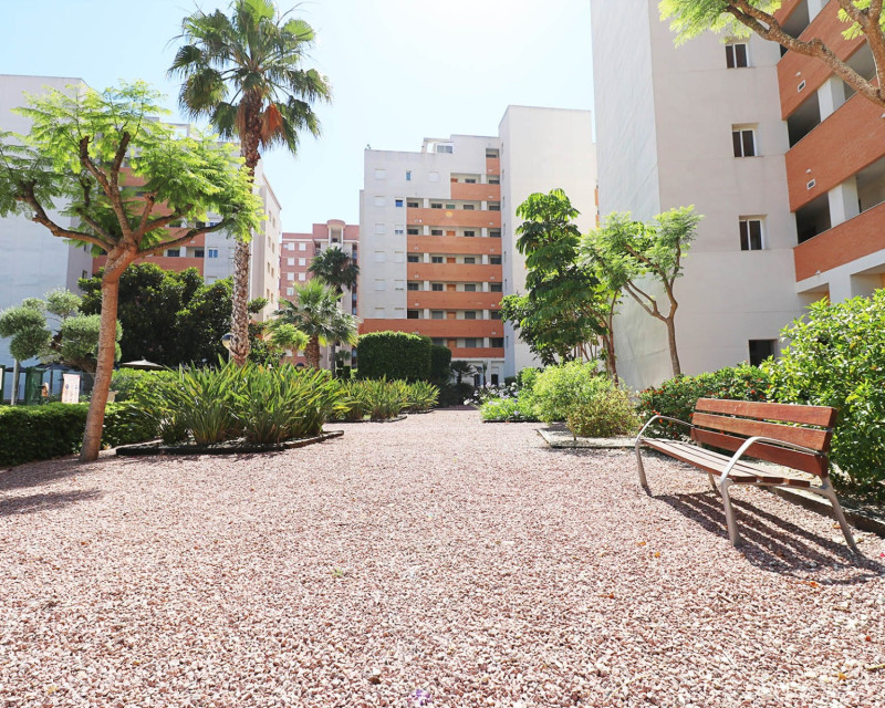 Sale - Apartment / flat - Guardamar del Segura - SUP 7