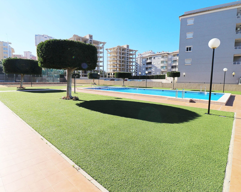 Sale - Apartment / flat - Guardamar del Segura - SUP 7