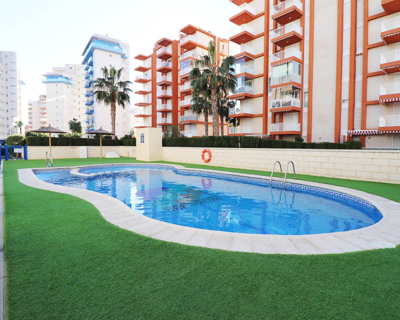 Alquiler a largo plazo - Apartamento / piso - Guardamar del Segura - SUP 7