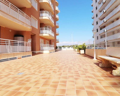 Sale - Apartment / flat - Guardamar del Segura - Port