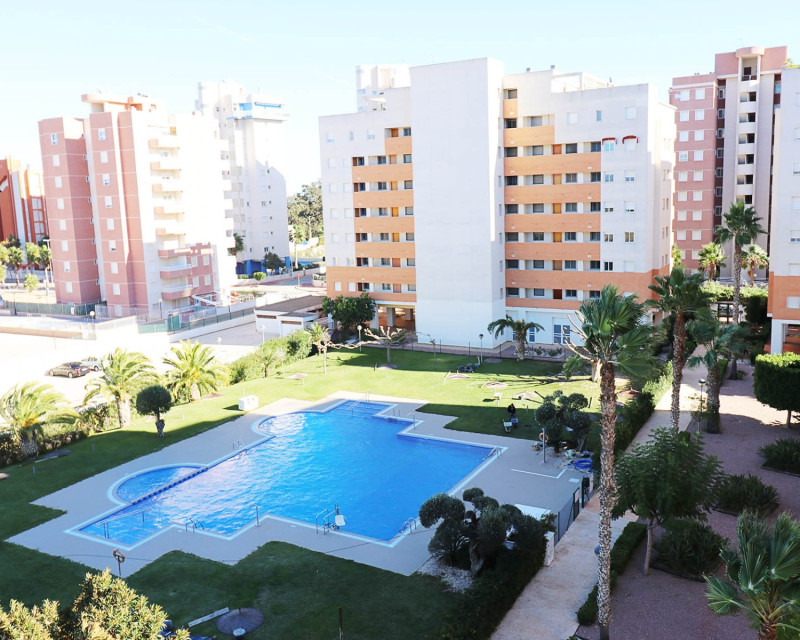 Sale - Apartment / flat - Guardamar del Segura - SUP 7