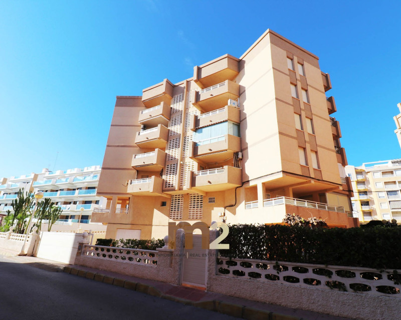 Long time Rental - Apartment / flat - Guardamar del Segura - Guardamar Playa