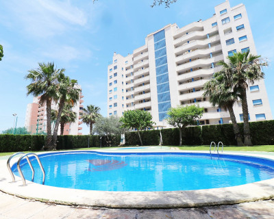 Long time Rental - Apartment / flat - Guardamar del Segura - SUP 7